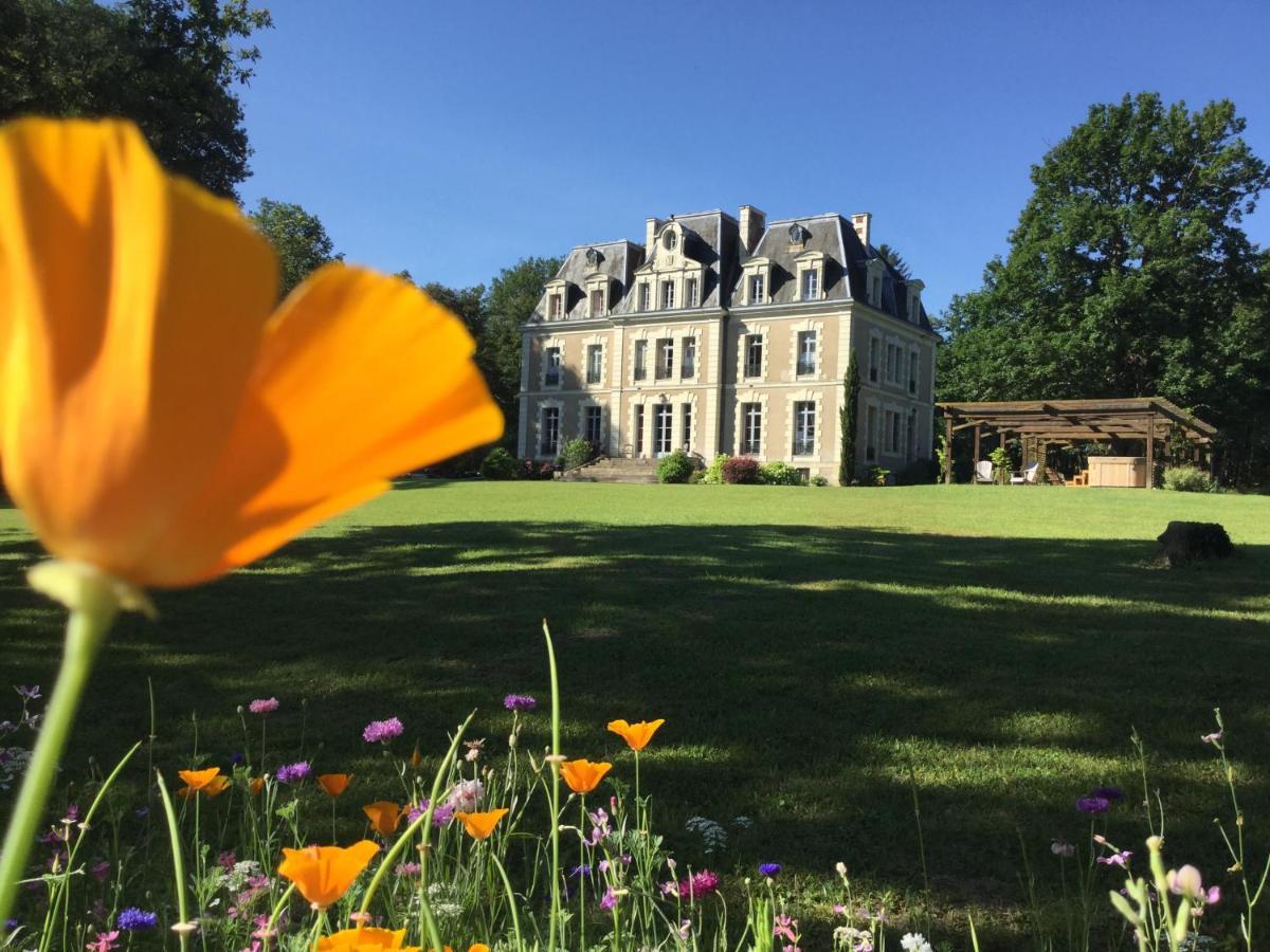 Château des Essards avec piscine et jacuzzi Langeais Exterior foto