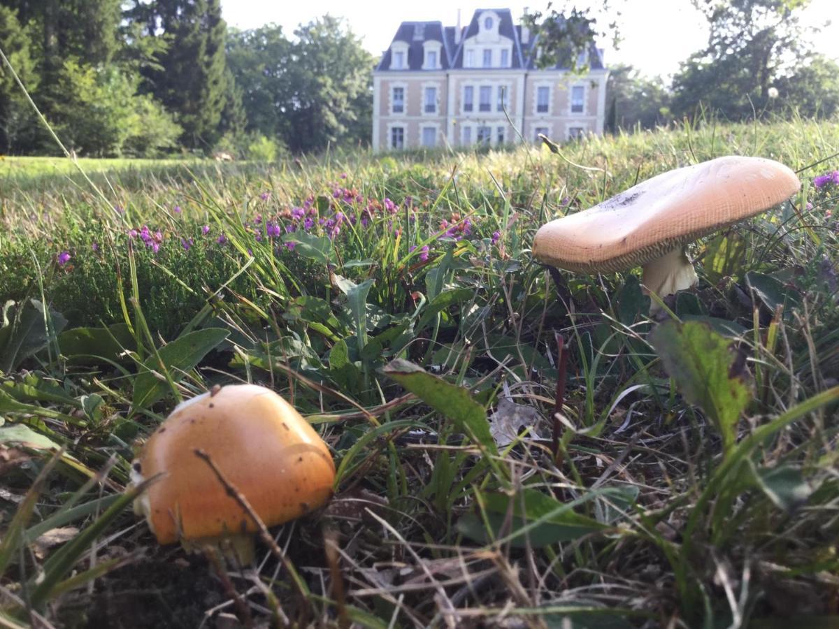 Château des Essards avec piscine et jacuzzi Langeais Exterior foto